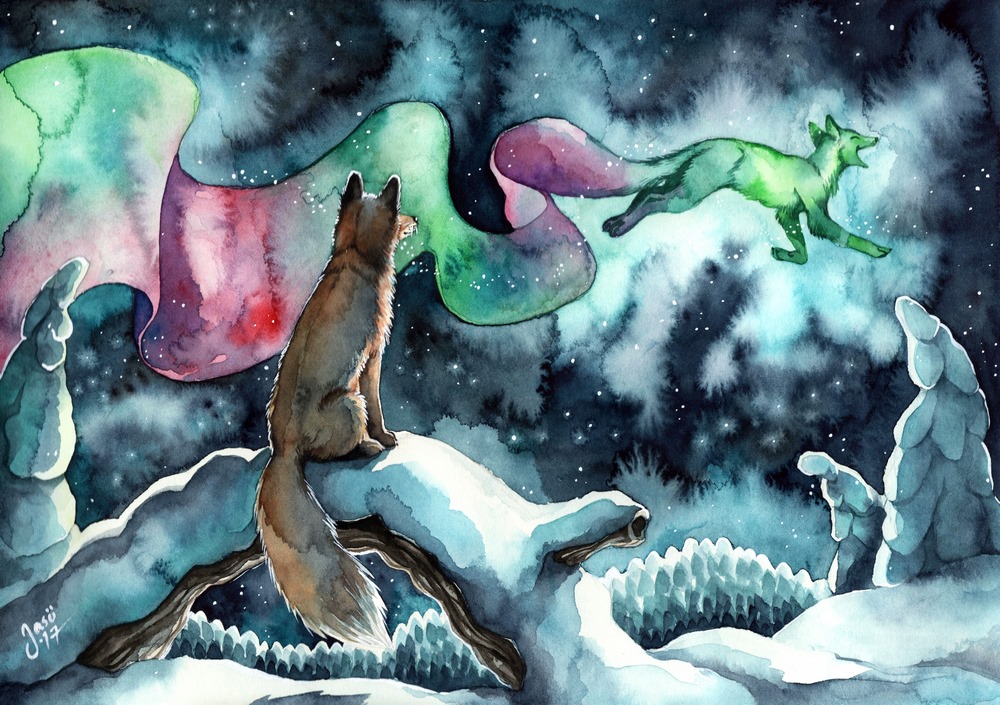 Print - Fox Watching Northern Lights